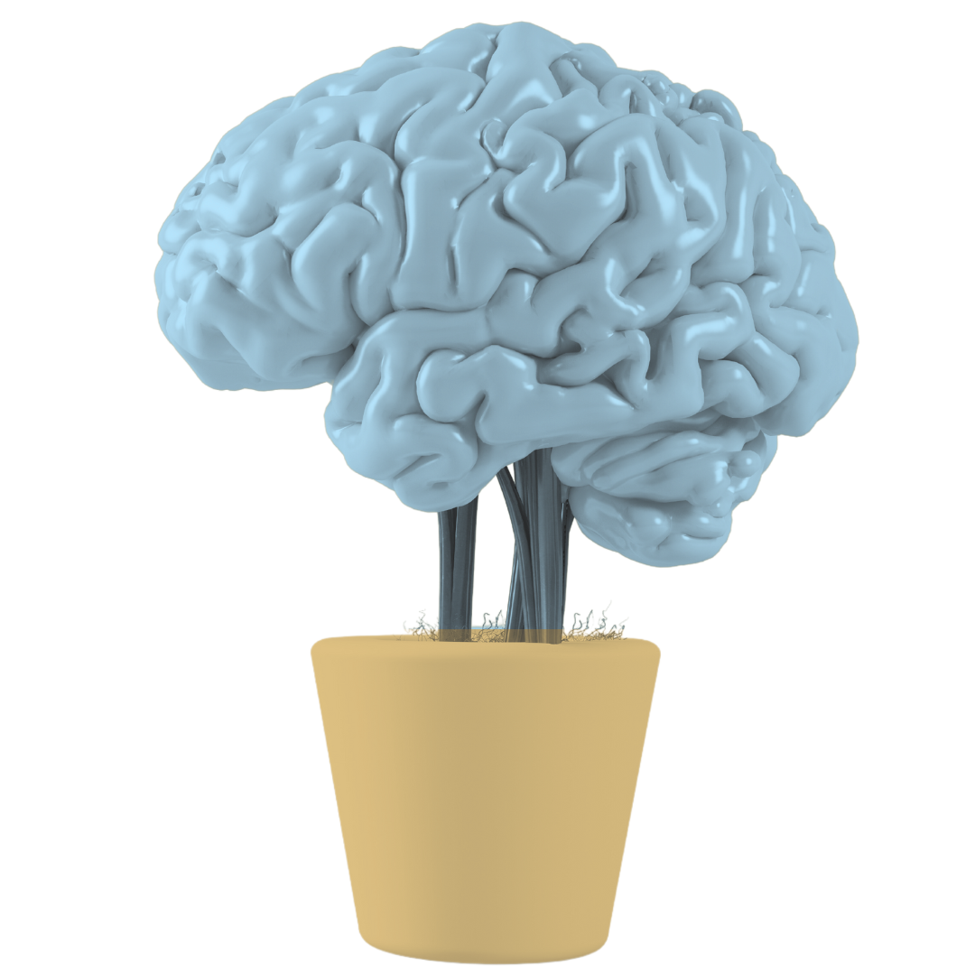 pot de plante cerveau en 3D